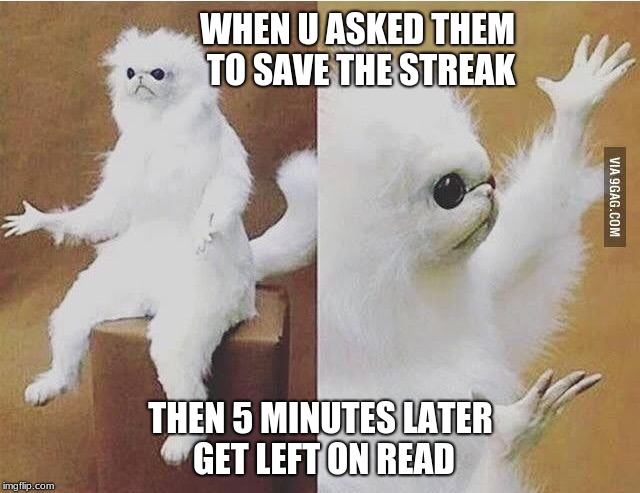 Confused white monkey | WHEN U ASKED THEM TO SAVE THE STREAK; THEN 5 MINUTES LATER GET LEFT ON READ | image tagged in confused white monkey | made w/ Imgflip meme maker