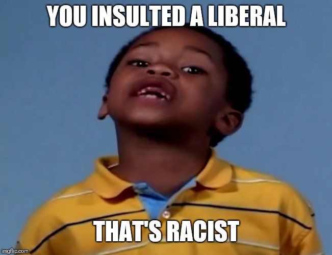 That's Racist | YOU INSULTED A LIBERAL; THAT'S RACIST | image tagged in that's racist | made w/ Imgflip meme maker