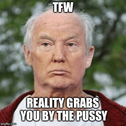 TFW REALITY GRABS YOU BY THE PUSSY | made w/ Imgflip meme maker