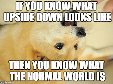Doge shocked | IF YOU KNOW WHAT UPSIDE DOWN LOOKS LIKE; THEN YOU KNOW WHAT THE NORMAL WORLD IS | image tagged in doge shocked | made w/ Imgflip meme maker