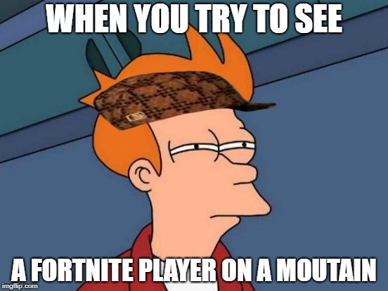 Futurama Fry Meme | WHEN YOU TRY TO SEE; A FORTNITE PLAYER ON A MOUTAIN | image tagged in memes,futurama fry,scumbag | made w/ Imgflip meme maker