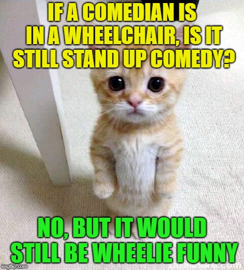 “lsimhbiwfefmtalol” Laughing silently in my head because it wasn't funny enough for me to actually laugh out loud | IF A COMEDIAN IS IN A WHEELCHAIR, IS IT STILL STAND UP COMEDY? NO, BUT IT WOULD STILL BE WHEELIE FUNNY | image tagged in memes,cute cat,funny,stand up | made w/ Imgflip meme maker