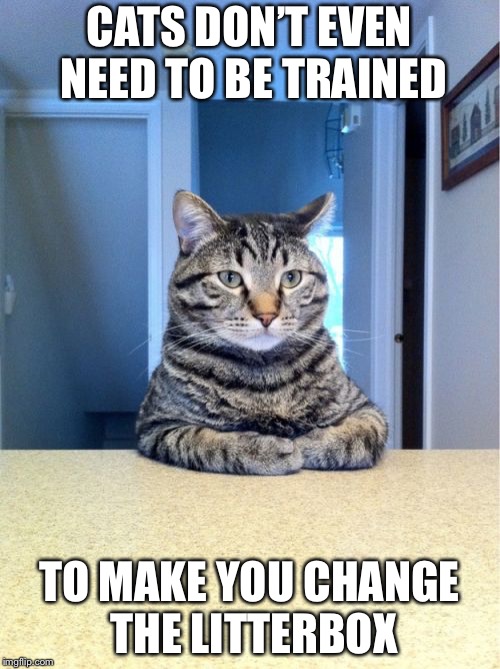 Take A Seat Cat Meme | CATS DON’T EVEN NEED TO BE TRAINED; TO MAKE YOU CHANGE THE LITTERBOX | image tagged in memes,take a seat cat | made w/ Imgflip meme maker