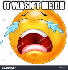 IT WASN'T ME!!!!! | image tagged in crying | made w/ Imgflip meme maker