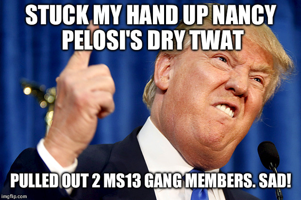 Donald Trump | STUCK MY HAND UP NANCY PELOSI'S DRY TWAT; PULLED OUT 2 MS13 GANG MEMBERS. SAD! | image tagged in donald trump | made w/ Imgflip meme maker