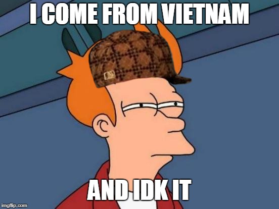 Futurama Fry Meme | I COME FROM VIETNAM AND IDK IT | image tagged in memes,futurama fry,scumbag | made w/ Imgflip meme maker