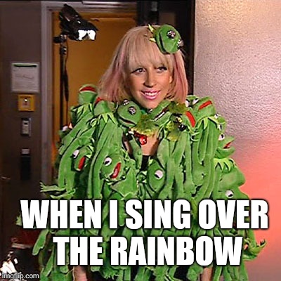 Lady Gaga Kermit Muppets | WHEN I SING OVER THE RAINBOW | image tagged in lady gaga kermit muppets | made w/ Imgflip meme maker