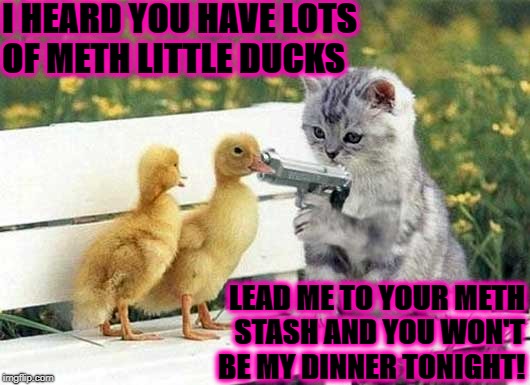 I HEARD YOU HAVE LOTS OF METH LITTLE DUCKS; LEAD ME TO YOUR METH STASH AND YOU WON'T BE MY DINNER TONIGHT! | image tagged in meth ducks | made w/ Imgflip meme maker