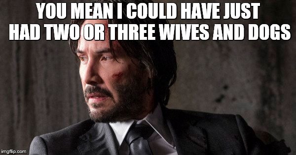 Dead beat dad advise | YOU MEAN I COULD HAVE JUST HAD TWO OR THREE WIVES AND DOGS | image tagged in john wick,dead beat dad,cheater,secret lives | made w/ Imgflip meme maker