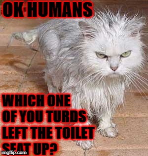 OK HUMANS; WHICH ONE OF YOU TURDS LEFT THE TOILET SEAT UP? | image tagged in filthy human | made w/ Imgflip meme maker