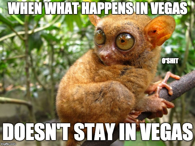 We all have that one friend or coworker who likes to tell stories...  | WHEN WHAT HAPPENS IN VEGAS; O'SHIT; DOESN'T STAY IN VEGAS | image tagged in scarred tarsier,vegas,las vegas | made w/ Imgflip meme maker