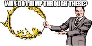 Jump through hoops | WHY DO I JUMP THROUGH THESE? | image tagged in jump through hoops,meme,memes,jumping hoop | made w/ Imgflip meme maker