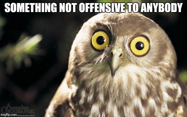 owl thing | SOMETHING NOT OFFENSIVE TO ANYBODY | image tagged in owl thing,wise owl,meme,memes | made w/ Imgflip meme maker