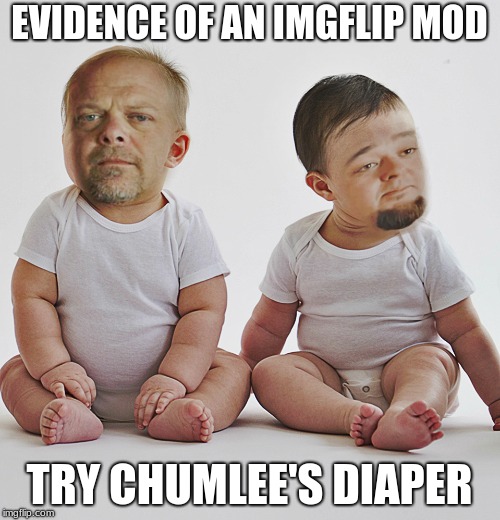 Pawn stars babies | EVIDENCE OF AN IMGFLIP MOD TRY CHUMLEE'S DIAPER | image tagged in pawn stars babies | made w/ Imgflip meme maker