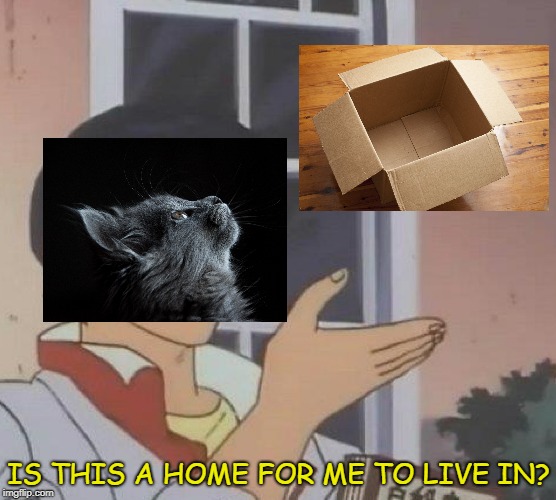 Is This A Pigeon | IS THIS A HOME FOR ME TO LIVE IN? | image tagged in is this a pigeon | made w/ Imgflip meme maker