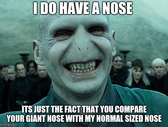 Voldermort funny | I DO HAVE A NOSE; ITS JUST THE FACT THAT YOU COMPARE YOUR GIANT NOSE WITH MY NORMAL SIZED NOSE | image tagged in voldermort funny | made w/ Imgflip meme maker
