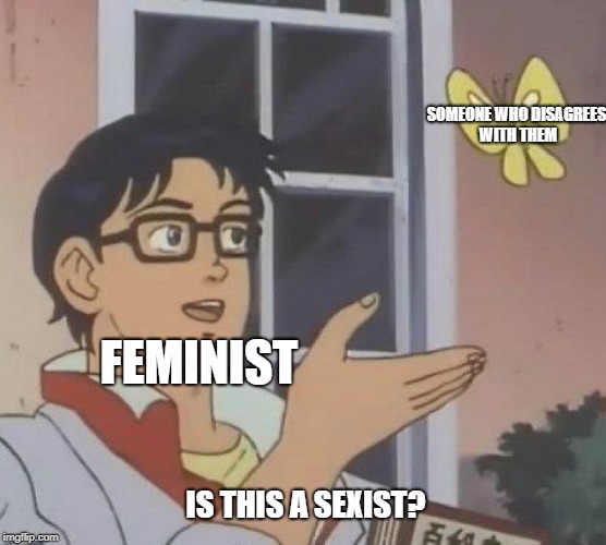 Is This A Pigeon Meme | SOMEONE WHO DISAGREES WITH THEM; FEMINIST; IS THIS A SEXIST? | image tagged in is this a pigeon | made w/ Imgflip meme maker
