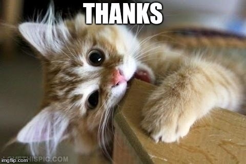 That's just silly cat | THANKS | image tagged in that's just silly cat | made w/ Imgflip meme maker