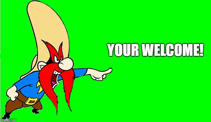 yosemite sam  | YOUR WELCOME! | image tagged in yosemite sam | made w/ Imgflip meme maker