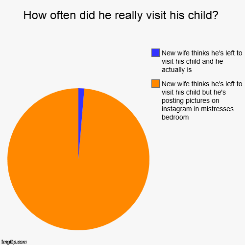 Dead beat dad pie chart | How often did he really visit his child? | New wife thinks he's left to visit his child but he's posting pictures on instagram in mistresses | image tagged in deadbeat,dead beat dad,deadbeat dad,too bad is wife doesn' have instagram,visitng his ho instead of his child,father's day | made w/ Imgflip chart maker