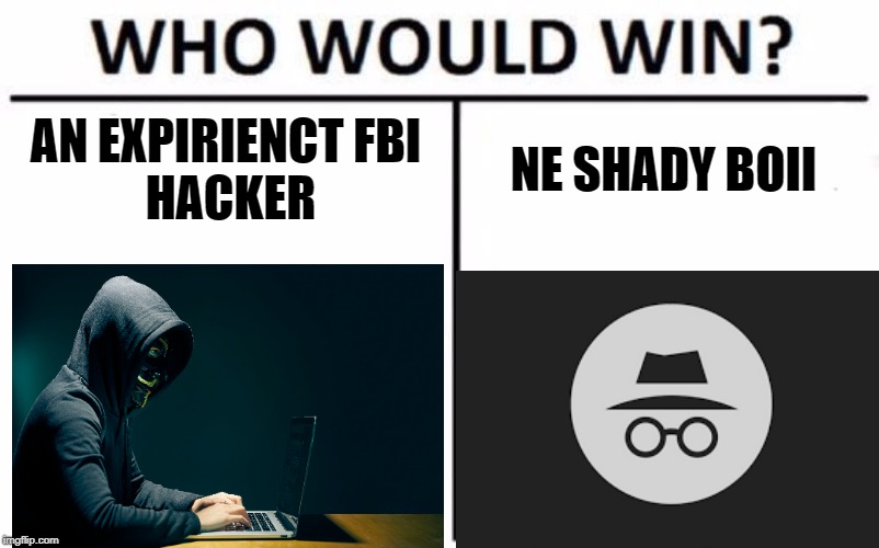 da ludo | AN EXPIRIENCT
FBI HACKER; NE SHADY BOII | image tagged in memes,who would win | made w/ Imgflip meme maker