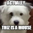 ACTUALLY THIZ IS A MOUSE | made w/ Imgflip meme maker