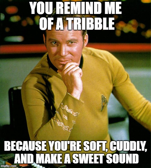 captain kirk | YOU REMIND ME OF A TRIBBLE; BECAUSE YOU'RE SOFT, CUDDLY, AND MAKE A SWEET SOUND | image tagged in captain kirk | made w/ Imgflip meme maker