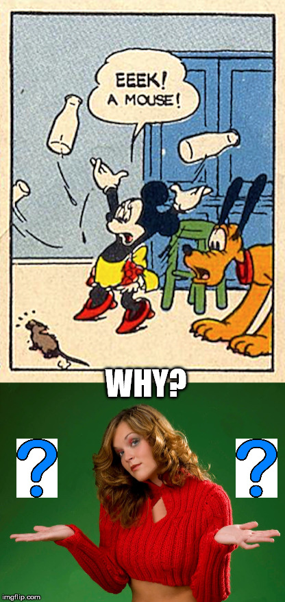 Why would a mouse be afraid of a mouse? | WHY? | image tagged in memes,mice,fear,questioning | made w/ Imgflip meme maker