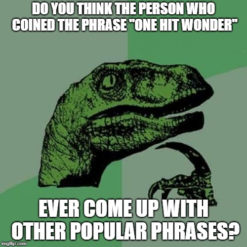 Philosoraptor Meme | DO YOU THINK THE PERSON WHO COINED THE PHRASE "ONE HIT WONDER"; EVER COME UP WITH OTHER POPULAR PHRASES? | image tagged in memes,philosoraptor | made w/ Imgflip meme maker