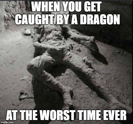 WHEN YOU GET CAUGHT BY A DRAGON; AT THE WORST TIME EVER | image tagged in skyrim,popeii,burnt | made w/ Imgflip meme maker