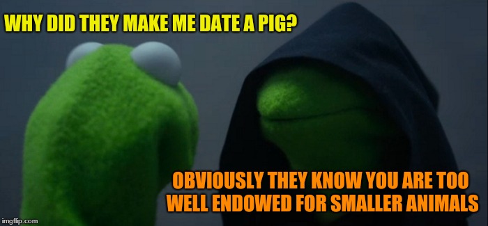 Evil Kermit Meme | WHY DID THEY MAKE ME DATE A PIG? OBVIOUSLY THEY KNOW YOU ARE TOO WELL ENDOWED FOR SMALLER ANIMALS | image tagged in memes,evil kermit | made w/ Imgflip meme maker