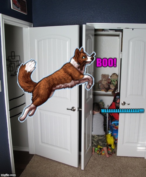 Chili breaks into the baby's bedroom and says "BOO!" | I HAD TO MAKE ANOTHER ONE OF THESE; BECAUSE THE MODS DISAPPROVED MY LAST ONE. | image tagged in chili the border collie,dogs,crying baby,babies,border collie | made w/ Imgflip meme maker