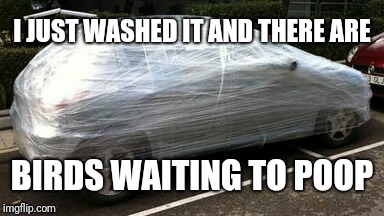 Keeping my car clean | I JUST WASHED IT AND THERE ARE; BIRDS WAITING TO POOP | image tagged in wrapped up car,car,clean | made w/ Imgflip meme maker