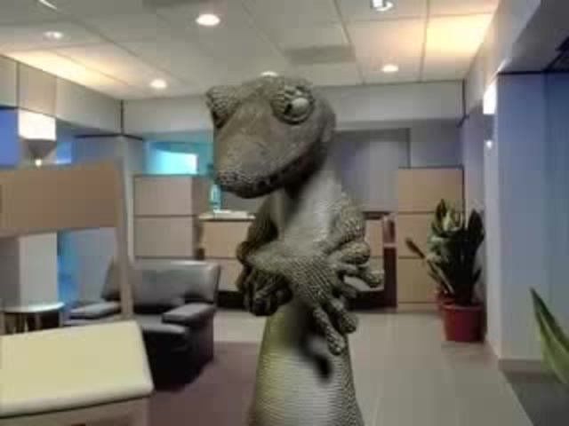 Lizard Blank Meme Template