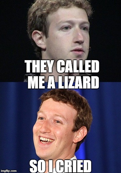 They Called Me A Lizard, Mother! | THEY CALLED ME A LIZARD; SO I CRIED | image tagged in memes,zuckerberg,shapeshifting lizard,cry | made w/ Imgflip meme maker