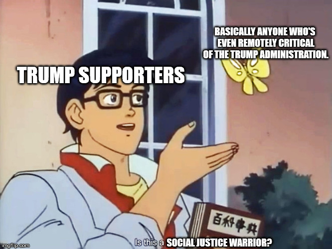 ANIME BUTTERFLY MEME | BASICALLY ANYONE WHO'S EVEN REMOTELY CRITICAL OF THE TRUMP ADMINISTRATION. TRUMP SUPPORTERS; SOCIAL JUSTICE WARRIOR? | image tagged in anime butterfly meme | made w/ Imgflip meme maker