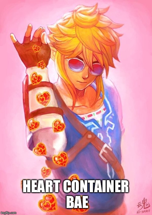 Heart container bae | HEART CONTAINER BAE | image tagged in zelda,legend of zelda,the legend of zelda,the legend of zelda breath of the wild | made w/ Imgflip meme maker