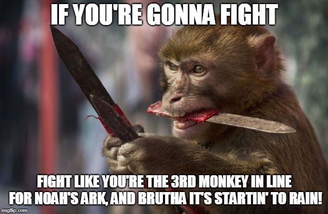 fight for your life | IF YOU'RE GONNA FIGHT; FIGHT LIKE YOU'RE THE 3RD MONKEY IN LINE FOR NOAH'S ARK, AND BRUTHA IT'S STARTIN' TO RAIN! | image tagged in meme,survival,funny meme,animals | made w/ Imgflip meme maker