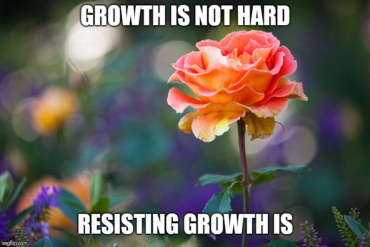 Roses | GROWTH IS NOT HARD; RESISTING GROWTH IS | image tagged in roses | made w/ Imgflip meme maker