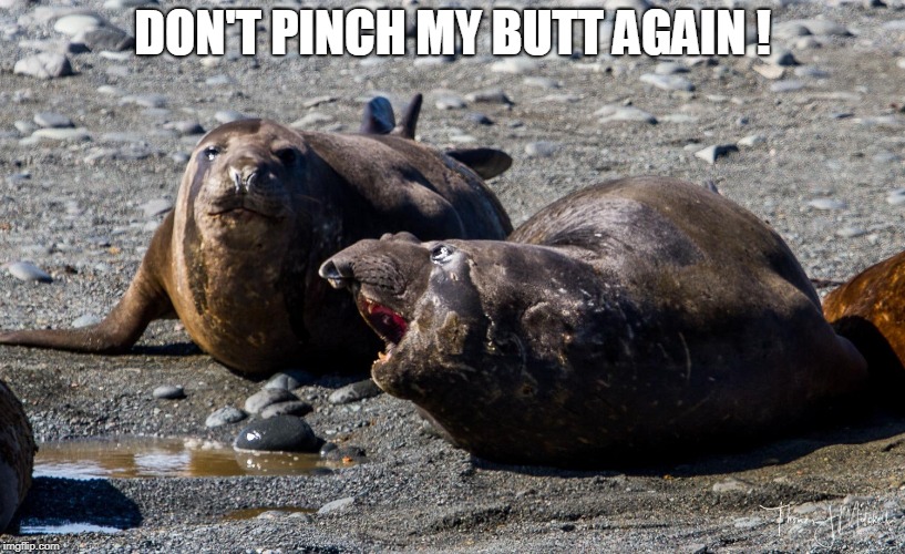 DON'T PINCH MY BUTT AGAIN ! | made w/ Imgflip meme maker