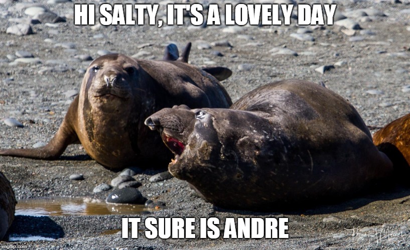 HI SALTY, IT'S A LOVELY DAY; IT SURE IS ANDRE | made w/ Imgflip meme maker