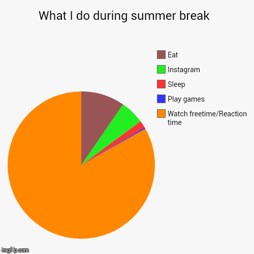 What I do during summer break  | Watch freetime/Reaction time, Play games, Sleep, Instagram, Eat | image tagged in funny,pie charts | made w/ Imgflip chart maker