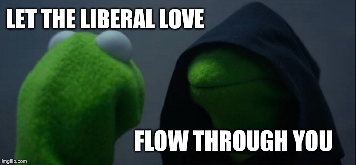 Evil Kermit Meme | LET THE LIBERAL LOVE FLOW THROUGH YOU | image tagged in memes,evil kermit | made w/ Imgflip meme maker