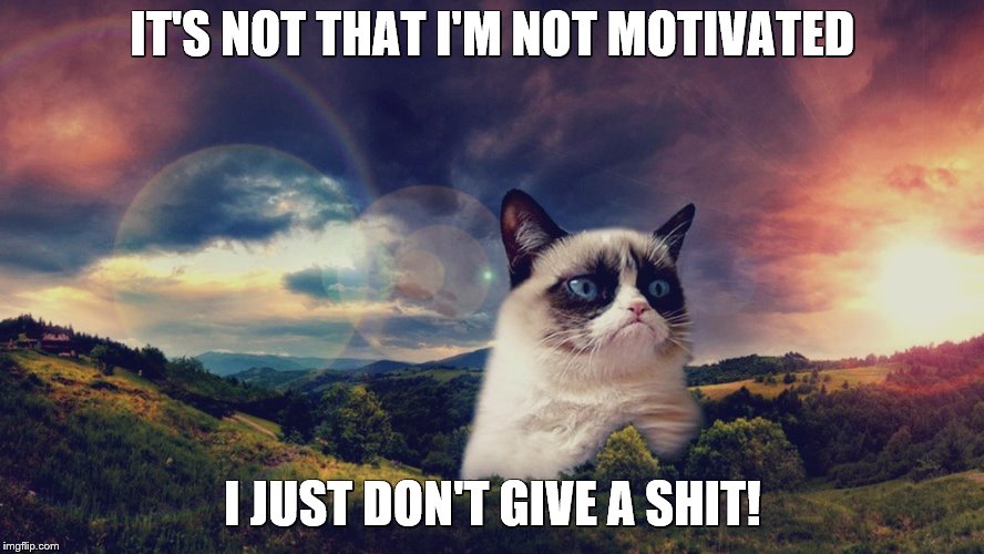 motivational grumpy cat | IT'S NOT THAT I'M NOT MOTIVATED; I JUST DON'T GIVE A SHIT! | image tagged in motivational grumpy cat | made w/ Imgflip meme maker