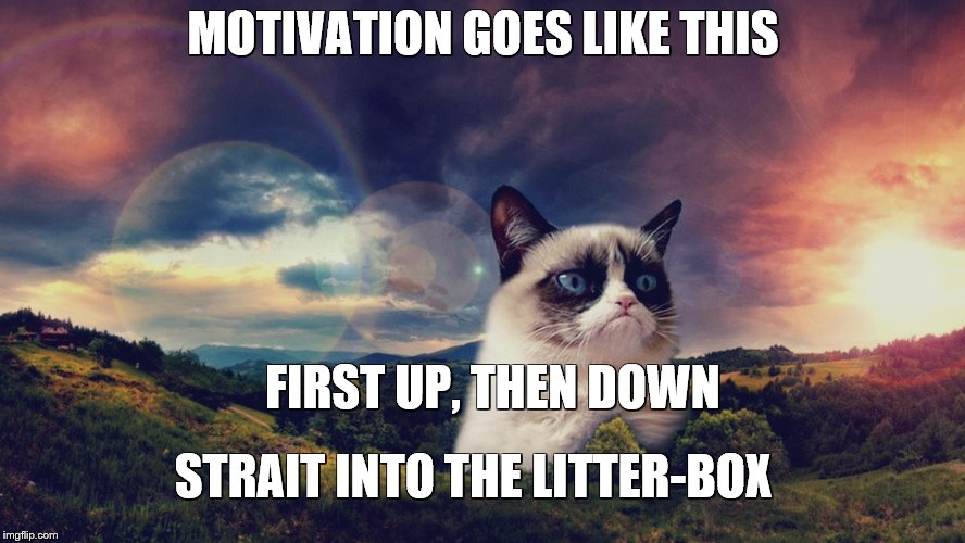 motivational grumpy cat | MOTIVATION GOES LIKE THIS; FIRST UP, THEN DOWN; STRAIT INTO THE LITTER-BOX | image tagged in motivational grumpy cat | made w/ Imgflip meme maker