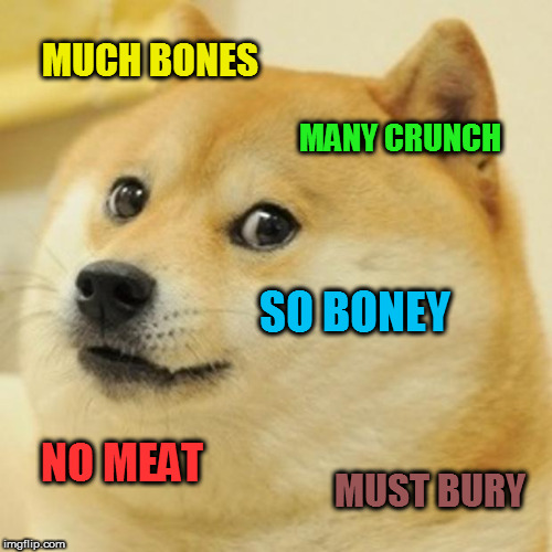 Doge Meme | MUCH BONES MANY CRUNCH SO BONEY NO MEAT MUST BURY | image tagged in memes,doge | made w/ Imgflip meme maker