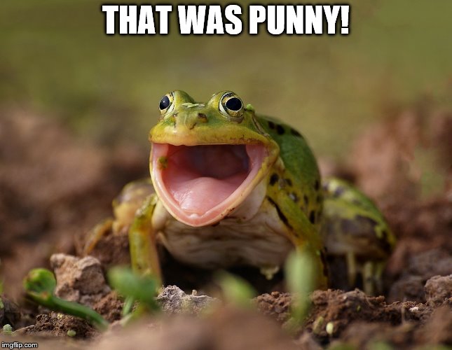 THAT WAS PUNNY! | made w/ Imgflip meme maker