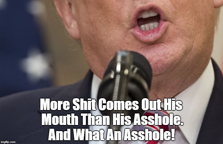 "Donald Trump, Coprophage" | More Shit Comes Out His Mouth Than His Asshole. And What An Asshole! | image tagged in deplorable donald,despicable donald,detestable donald,devious donald,dishonorable donald,dishonest donald | made w/ Imgflip meme maker