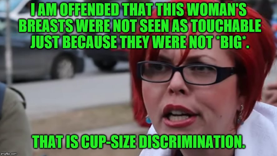 I AM OFFENDED THAT THIS WOMAN'S BREASTS WERE NOT SEEN AS TOUCHABLE JUST BECAUSE THEY WERE NOT *BIG*. THAT IS CUP-SIZE DISCRIMINATION. | made w/ Imgflip meme maker