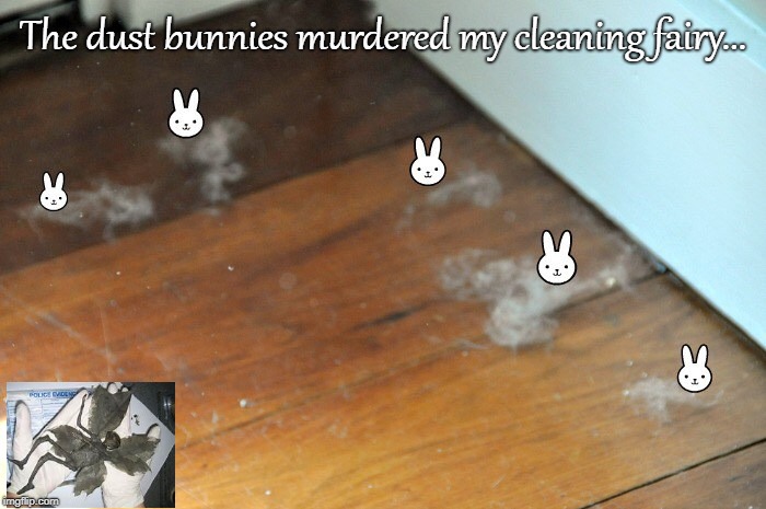Dust Bunnies commit murder... | The dust bunnies murdered my cleaning fairy... | image tagged in dust bunnies,cleaning fairy,murdered | made w/ Imgflip meme maker